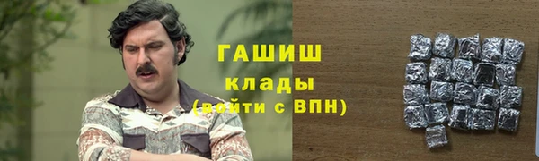 индика Верея