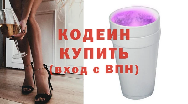 индика Верея