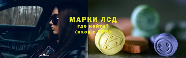 индика Верея