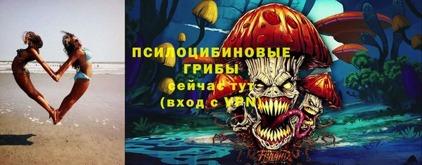 индика Верея