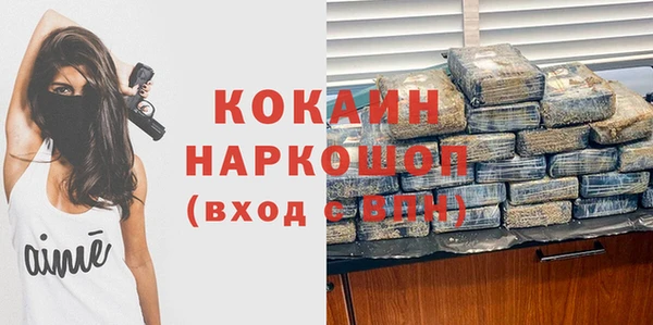 индика Верея